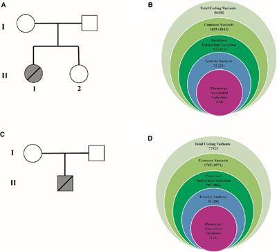 Case Report: Novel LIM domain-binding protein 3 (LDB3) mutations associated with hypertrophic cardiomyopathy family